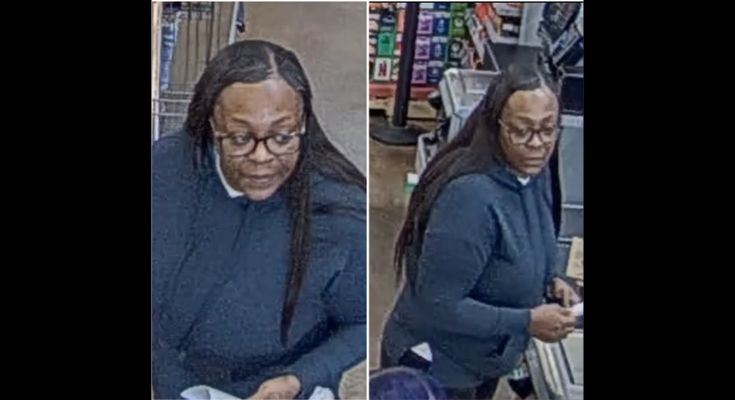 Theft suspects