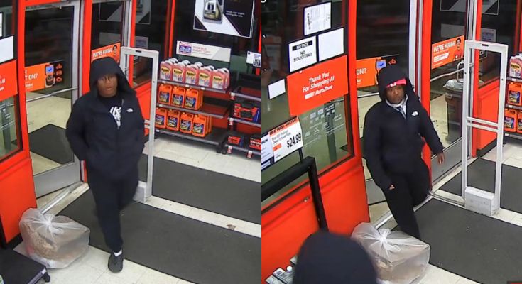 Theft suspects