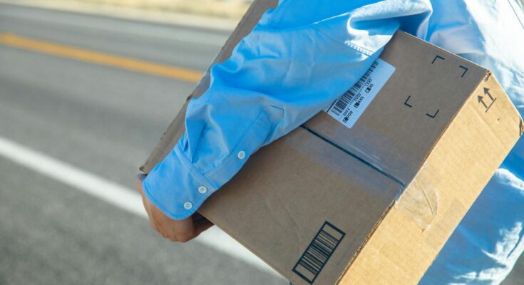 Person carrying a package