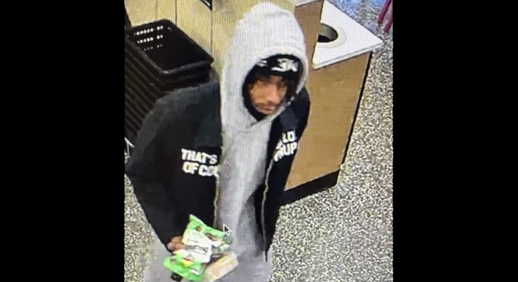 Wawa theft