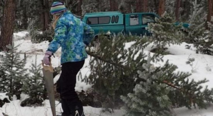 Wyoming, Christmas tree