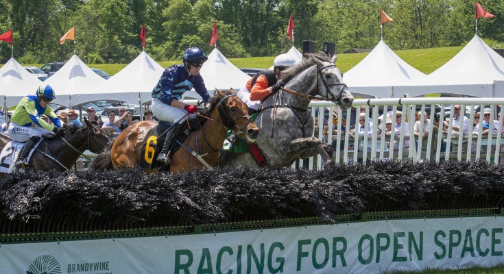 Radnor Hunt Races
