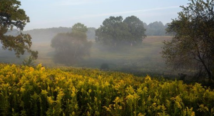 Science in Action Day at Longwood Gardens Saturday