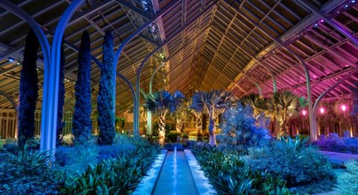 The West Conservatory blooms during Winter Wonder