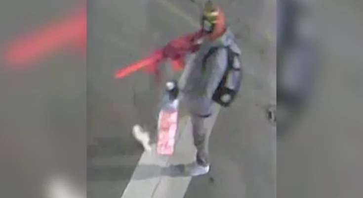 Vandalism, 6498 Ridge Ave