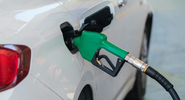 Gas pump nozzle