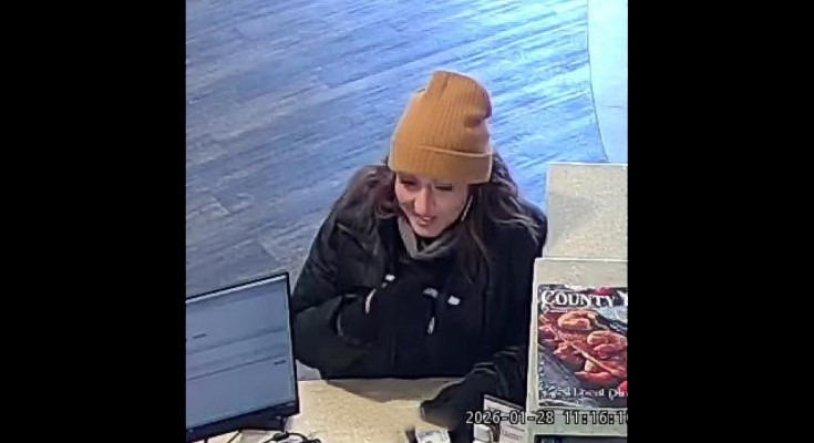 Theft suspect