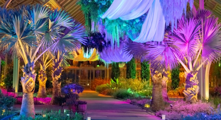 Longwood Gardens Unveils Garden Glow