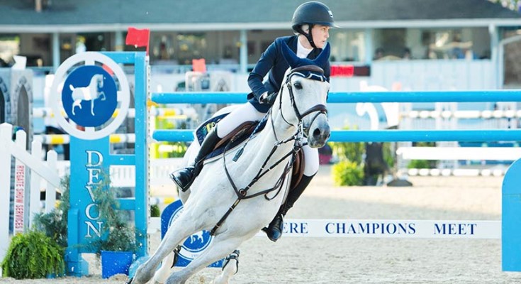 Devon Horse Show