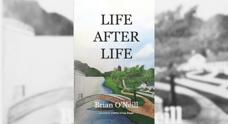 Life After Life Hardcover by Brian O'Neill