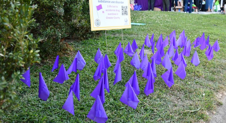 Purple flags
