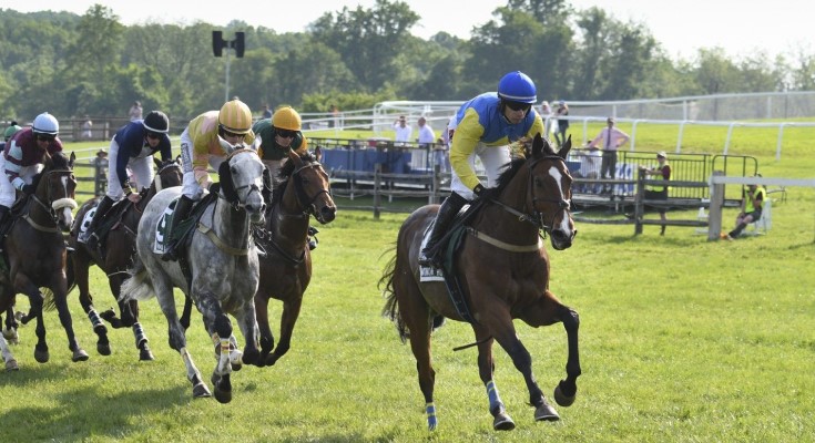 Radnor Hunt Races