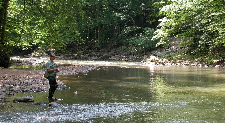 White Clay Creek Preserve