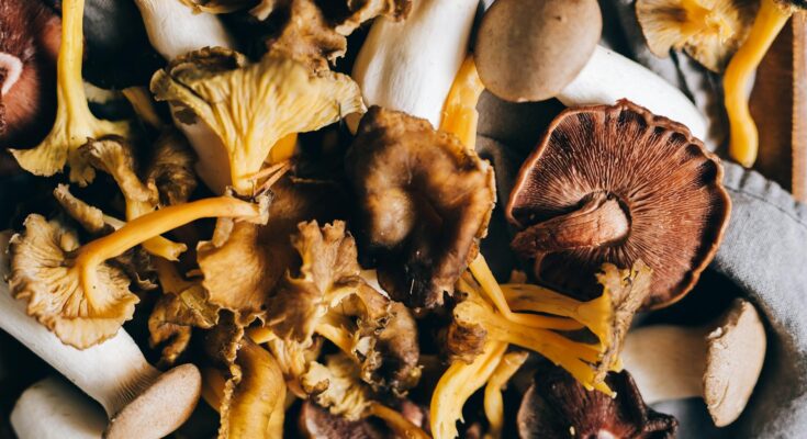 Assorted mushrooms