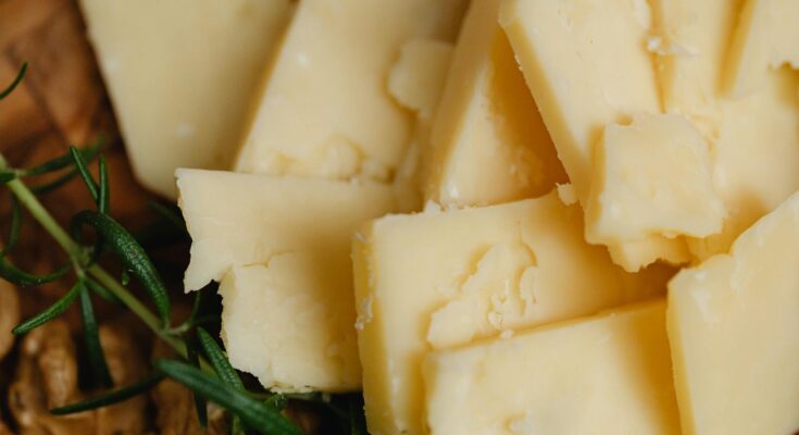 Cheese