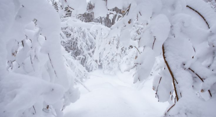 Blizzard