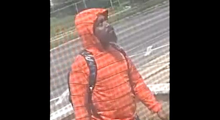 Theft suspect