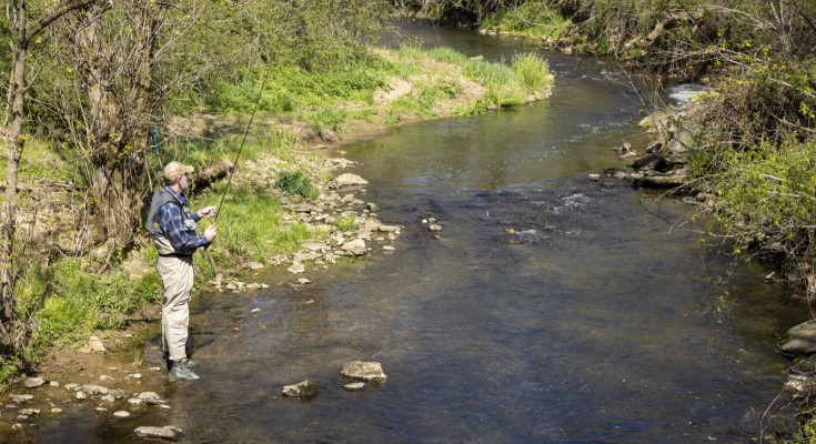 Trout Restocking