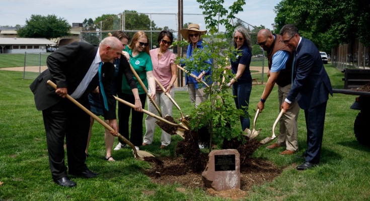 10 millionth tree