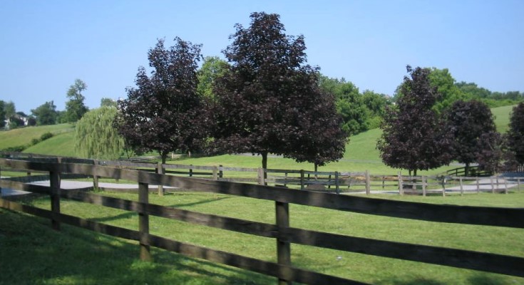 A farm estate in East Bradford Township