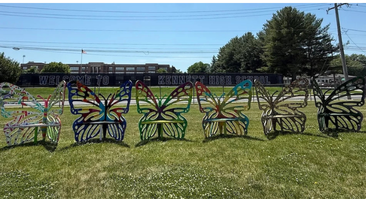 Butterfly Art