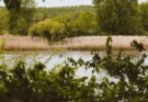 Pennsylvania Awards $751,400 for Two Chester County Parks
