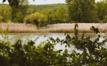 Exton County Park