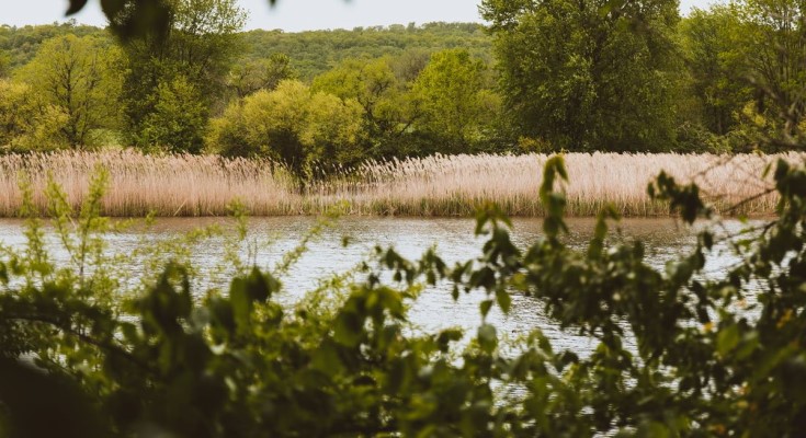 Exton County Park