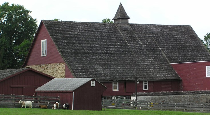 Great Barn at Springton Manor