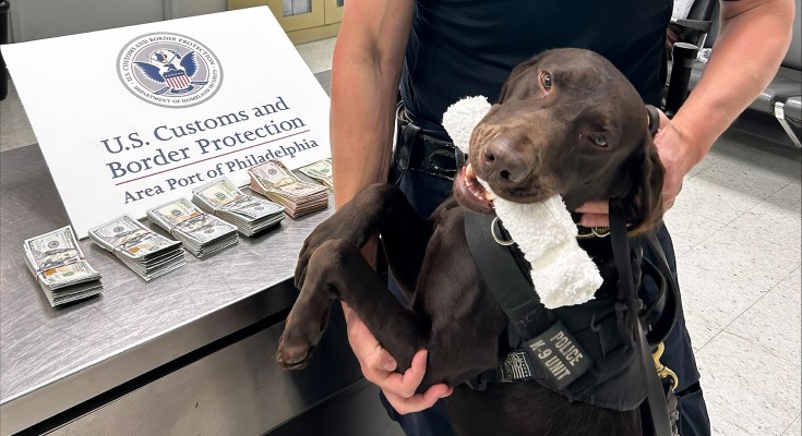 PHL K9 Nitro L