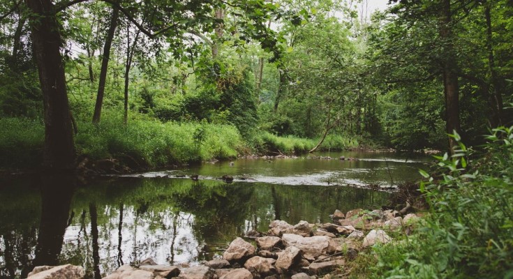 Warwick County Park