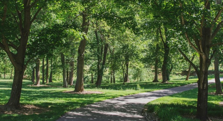 Wolf’s Hollow County Park