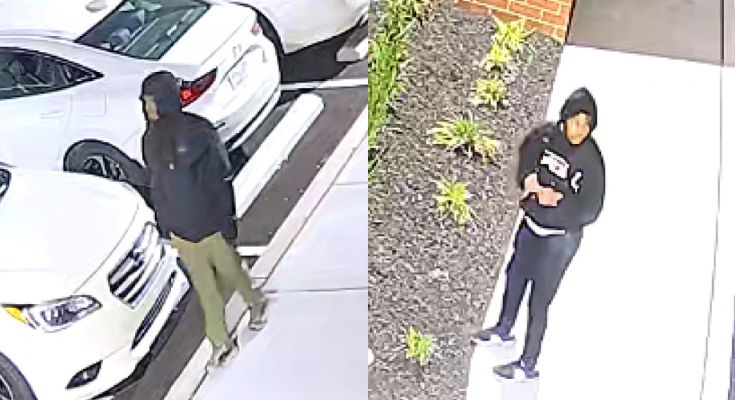 theft suspects