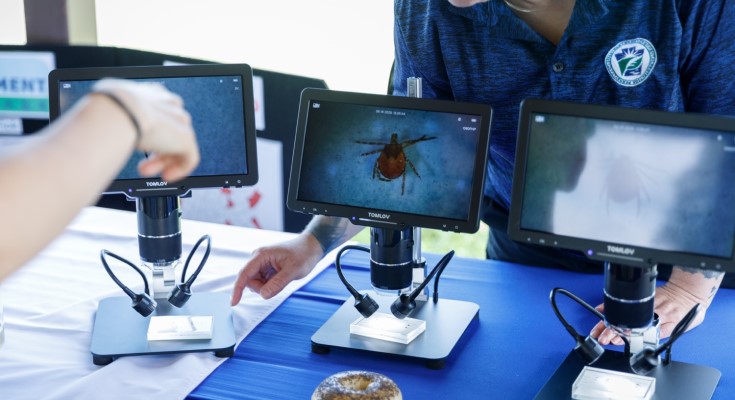 Preventing Lyme Disease