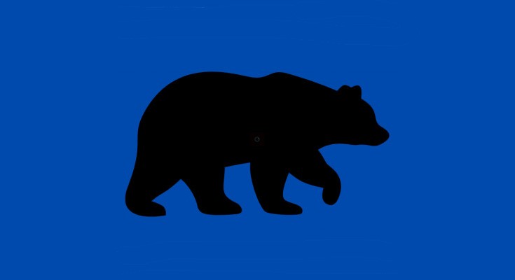 BEAR SIGHTING