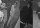 vandalism suspects