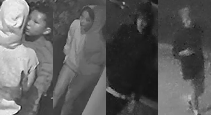 vandalism suspects