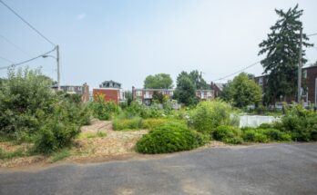 Bay Street Garden in Lancaster City