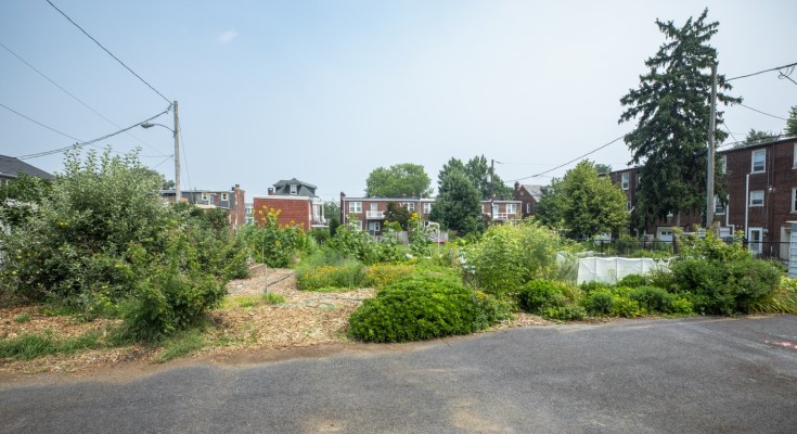 Bay Street Garden in Lancaster City