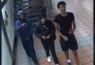 Suspects