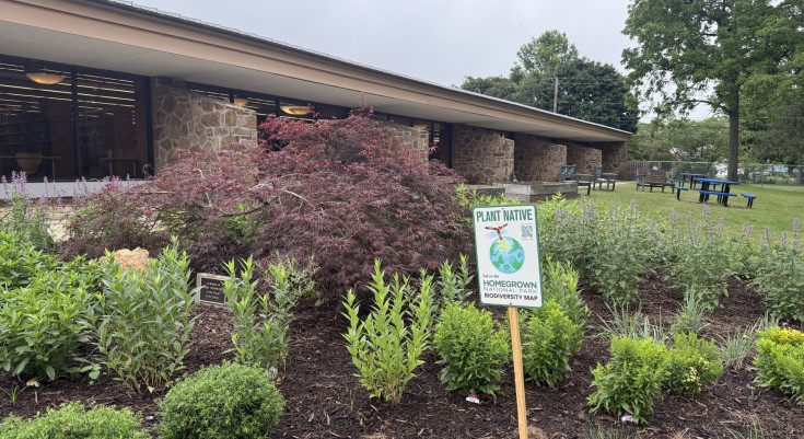 Native Garden