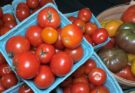 Berwyn Farmers’ Market Returns With Tomatopalooza and Sunday Fun