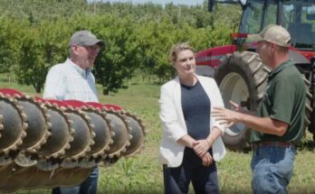 REAP Tax Credits