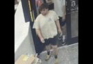 Wawa theft