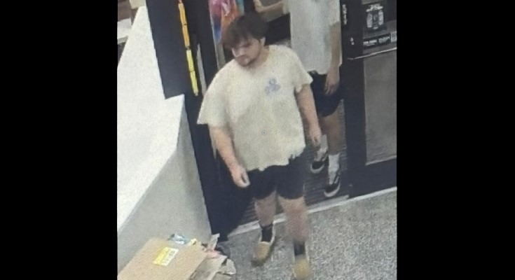 Wawa theft
