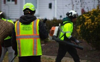 Strobert Tree Services