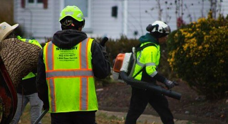 Strobert Tree Services