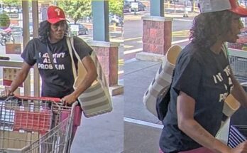 theft suspect