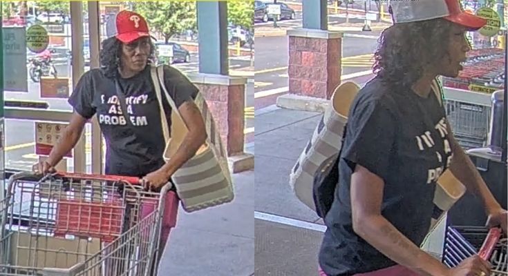 theft suspect