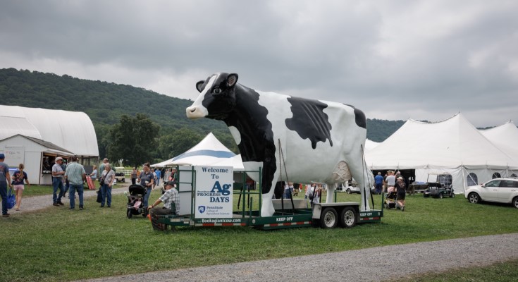 AG Progress Days